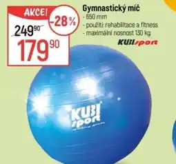 Globus Gymnastický míč nabídka