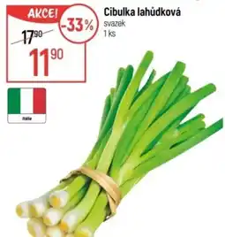 Globus Cibulka lahůdková nabídka