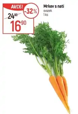 Globus Mrkev s natí nabídka