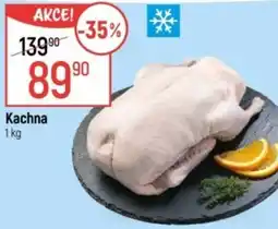 Globus Kachna nabídka