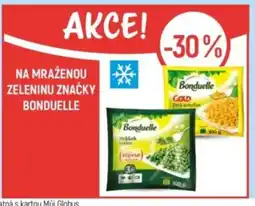 Globus Na mraženou zeleninu značky bonduelle nabídka