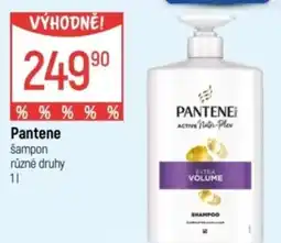 Globus Pantene šampon nabídka