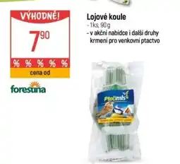 Globus Lojové koule nabídka