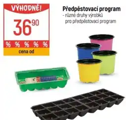 Globus Předpěstovací program nabídka