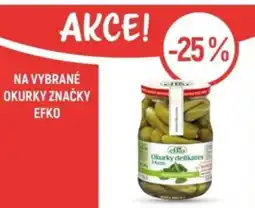 Globus Na vybrané okurky značky efko nabídka