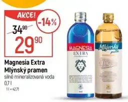 Globus Magnesia Extra Mlýnský pramen nabídka