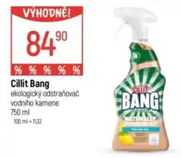 Globus Cillit Bang ekologický odstraňovač nabídka