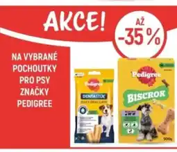 Globus Na vybrané pochoutky pro psy značky pedigree nabídka