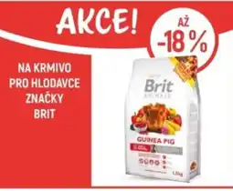 Globus Na krmivo pro hlodavce značky brit nabídka
