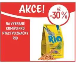 Globus Na vybrané krmivo pro ptactvo značky rio nabídka