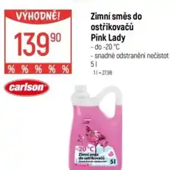 Globus Zimní směs do ostřikovačů Pink Lady nabídka