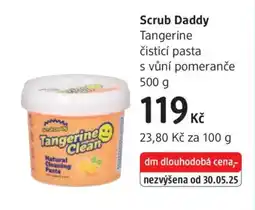 dm drogerie TANGERINE Scrub daddy nabídka