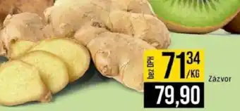 Jip Zázvor nabídka