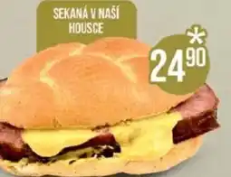 Jip Sekaná v naší housce nabídka