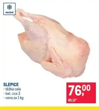 Makro Slepice nabídka