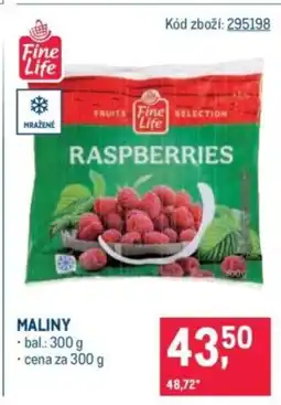 Makro Maliny nabídka