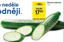 Tesco Okurka hadovka nabídka