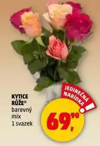 Penny Market Kytice růže nabídka