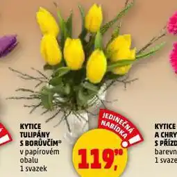 Penny Market Kytice tulipány s borůvčím nabídka