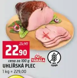 Terno Uhlířská plec nabídka