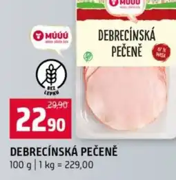 Terno Debrecínská pečeně nabídka