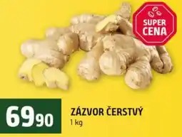 Terno Zázvor čerstvý nabídka