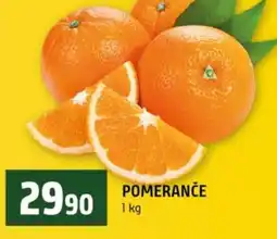 Terno Pomeranče nabídka