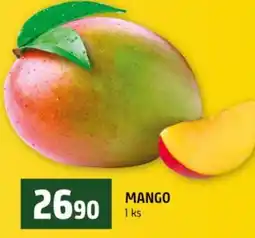 Terno Mango nabídka