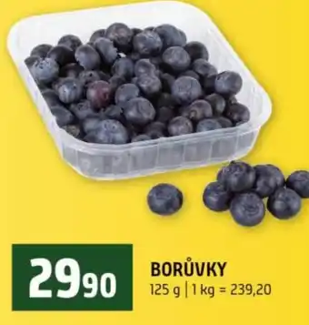 Terno Borůvky nabídka