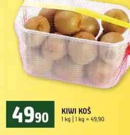 Terno Kiwi koš nabídka