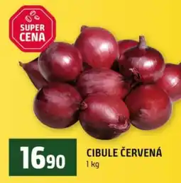 Terno Cibule červená nabídka
