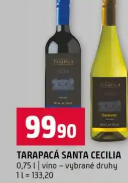 Terno Tarapacá santa cecilia nabídka