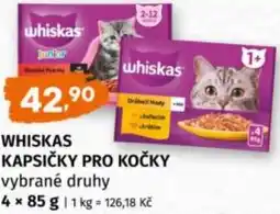 Terno Whiskas kapsičky pro kočky nabídka