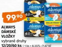 Terno Always dámské vložky nabídka