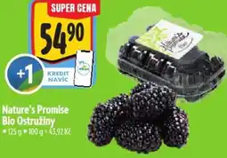 Albert Nature's Promise Bio Ostružiny nabídka