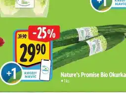 Albert Nature's Promise Bio Okurka 1ks nabídka