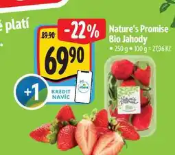 Albert Nature's Promise Bio Jahody 250 g nabídka