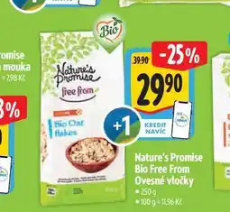 Albert Nature's Promise Bio Free From Ovesné vločky 250g nabídka