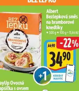 Albert Albert Bezlepková směs na bramborové knedlíky 300 g nabídka