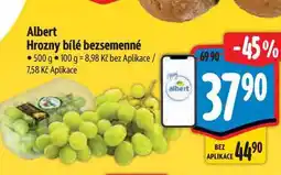 Albert Albert Hrozny bílé bezsemenné 500 g nabídka