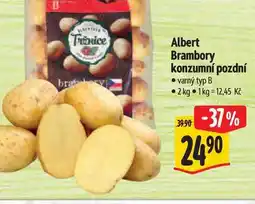 Albert Albert Brambory konzumní pozdní varný typ B 2 kg nabídka