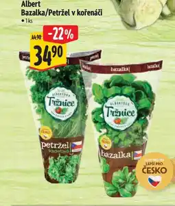 Albert Albert Bazalka/Petržel v kořenáči 1ks nabídka
