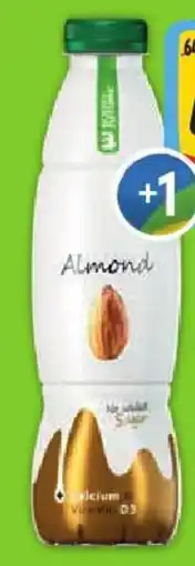 Albert Body & Future nabídka