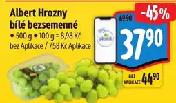 Albert Albert Hrozny bílé bezsemenné nabídka