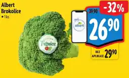 Albert Albert Brokolice nabídka
