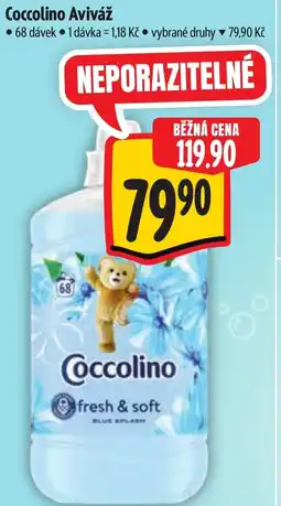 Albert Coccolino Aviváž nabídka