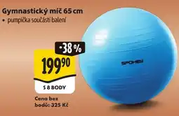 Albert Gymnastický míč 65 cm nabídka