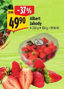 Albert Albert Jahody nabídka