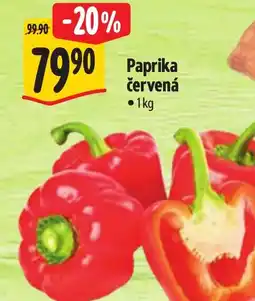 Albert Paprika červená nabídka