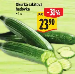 Albert Okurka salátová hadovka nabídka